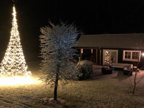 a christmas tree with lights in front of a house at Kustelberg Lodges in Medebach