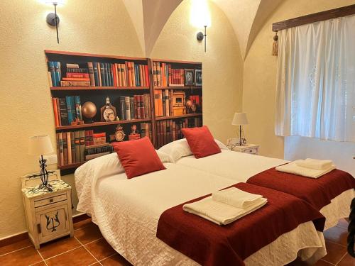 - une chambre avec 2 lits et une étagère avec des livres dans l'établissement Ceclavinn Casa Rural, à Ceclavín