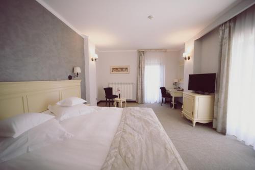 a bedroom with a bed and a desk and a television at Hotel Helen in Bacău