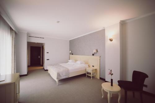 a bedroom with a bed and a desk and a chair at Hotel Helen in Bacău