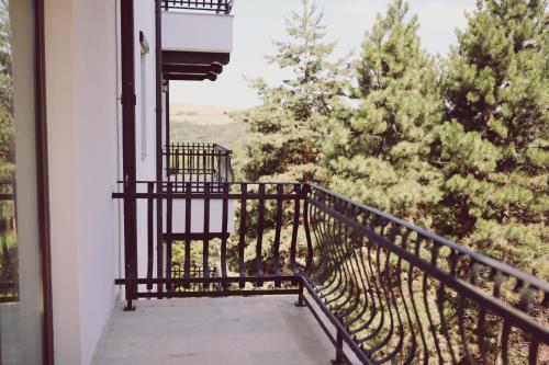 a balcony with a black railing and trees at Hotel Helen in Bacău
