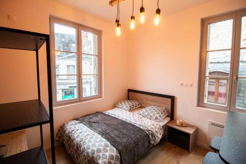 a bedroom with a bed and two windows at Studios Saint Jacques, Châtellerault in Châtellerault