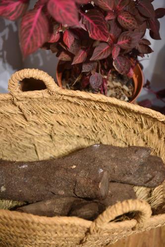 a wicker basket with a plant in a vase at Villa Galiana By Florentia Homes in Toledo