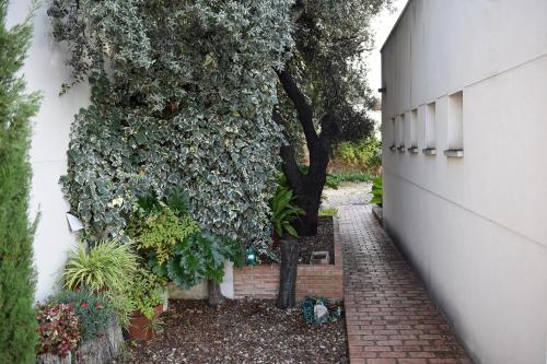 a garden with a retaining wall and plants at Villa Galiana By Florentia Homes in Toledo