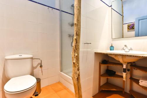 a bathroom with a toilet and a sink at MAS DE BERNIS - Senyoreta in L'Aldea