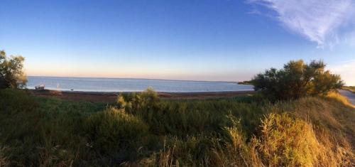 a beach with trees and the ocean in the background at Estrambord Appart Terrasse Camargue in Arles