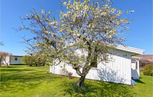 a tree in a yard next to a white building at 3 Bedroom Awesome Home In Falkenberg in Falkenberg