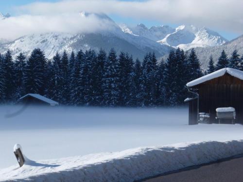 a cabin in the snow with a mountain at Adlernest Lechtal in Bach