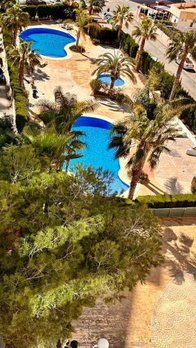 ALBA VINCA Apartment