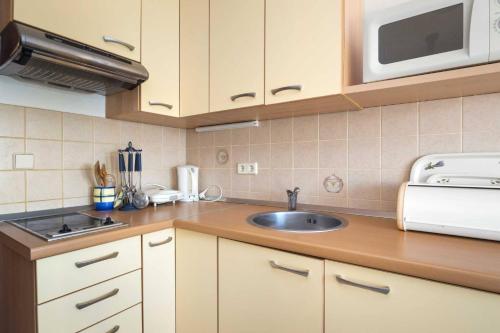 Kuchyň nebo kuchyňský kout v ubytování Apartments Kaina