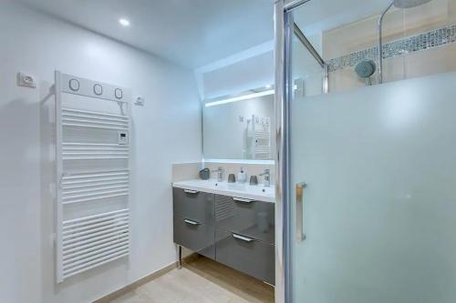 ein Badezimmer mit Waschbecken und Dusche in der Unterkunft Charmante maison proche Amboise in Pocé-sur-Cisse