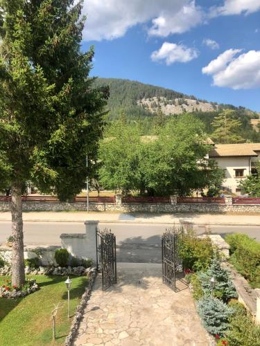 a courtyard with a tree and a road at Hotel Bucaneve in Pescasseroli