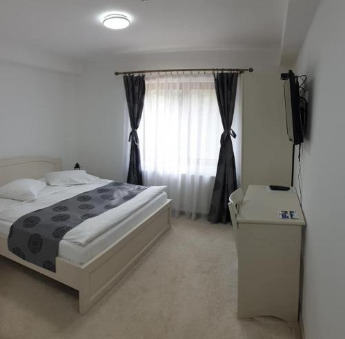 a bedroom with a bed and a desk and a television at Casuta Din Padure in Drăguş