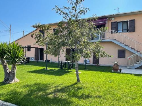 a small tree in a yard in front of a building at Agriturismo da Michele e Carmela di Voli Patrizia in Donoratico