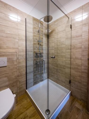 a bathroom with a shower stall and a toilet at Penzión Tulipán in Jelka