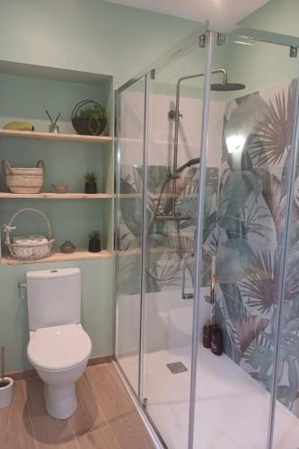 une salle de bain avec douche et toilettes dans l'établissement DORDOGNE 24 Chambre d'hôtes Jardin d'hiver Élégance Champêtre pour un séjour, à Rouffignac-Saint-Cernin-de-Reilhac