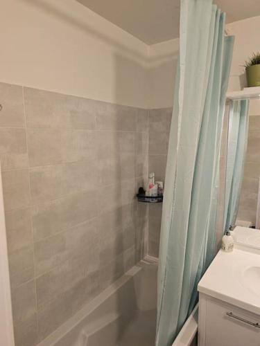 une salle de bain avec un rideau de douche et un lavabo dans l'établissement appartement, à Dijon