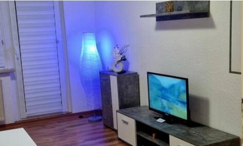 TV a/nebo společenská místnost v ubytování Langenstein