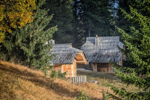 Foto de la galeria de Lodge Nadgora a Žabljak