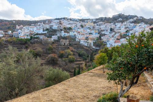 Φυσικό τοπίο κοντά σε αυτό το διαμέρισμα