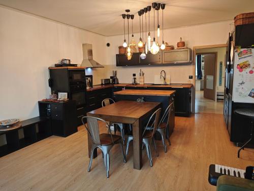 Sauna Apartament Zenklova 1, 4 rooms, terase, garden, sauna