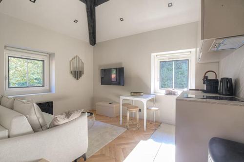 un salon avec un canapé et une cuisine dans l'établissement Studio calme et bien équipé, Saint-Didier, à Saint-Didier-au-Mont-dʼOr