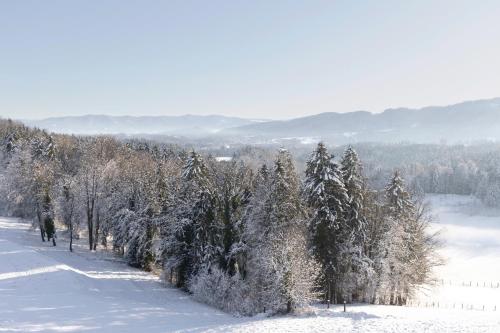 a row of trees covered in snow on a mountain at Boutiquehotel DAS ZEITWERT in Deutschlandsberg