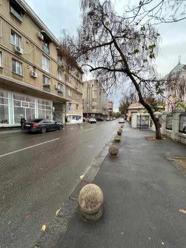 an empty street with a tree and some buildings at ARP LUXURY Apartments in Ploieşti
