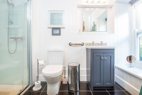 a bathroom with a toilet and a sink and a shower at 2 Penally Boathouse Mews in Cardigan