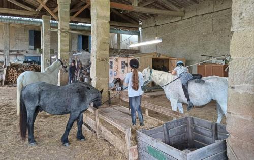 un groupe de personnes avec des chevaux dans une grange dans l'établissement Mobilhome Ferme équestre La Mouillère, à Chalabre