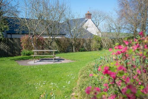 a picnic table in the middle of a yard at 3 Tower Hill in Dinas