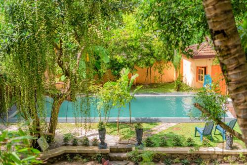 a swimming pool in a yard with trees at Monkey villa in Hikkaduwa