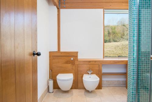 a bathroom with a toilet and a window at Nantsaeson in Cardigan