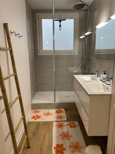 une salle de bain avec douche et lavabo dans l'établissement Appartement T4 Quartier Moulin à vent, à Perpignan