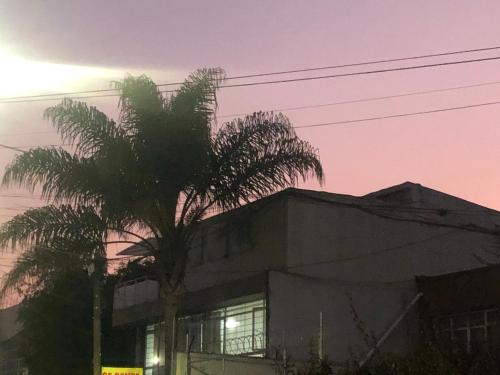 a palm tree in front of a building with the sunset at Estancia Iturriaga Suite 2 in Mexico City