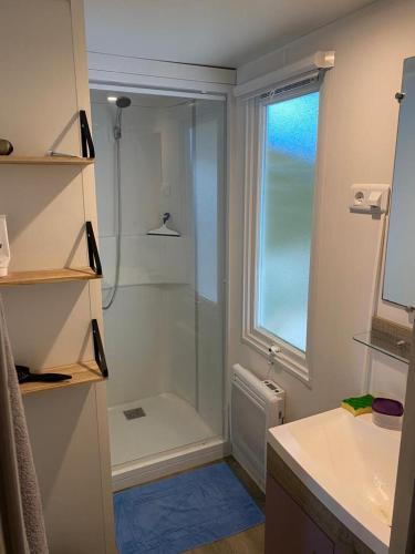 une salle de bain avec une douche et un lavabo et une fenêtre dans l'établissement Mobil-home confort dans impasse boisée, à Camiers