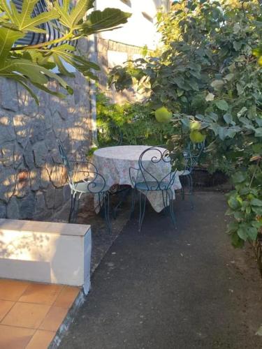 Appartement charmant à Aurillac, jardin privé, 27 m²