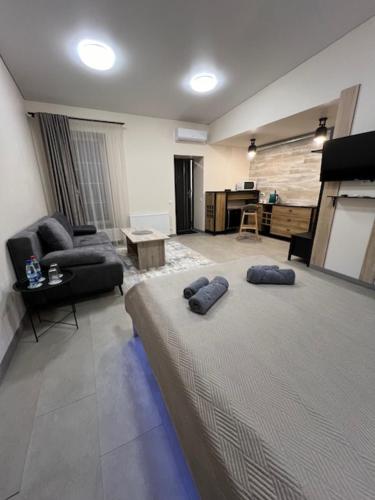 a living room with a large bed in a room at Gabriel in Šveicarija