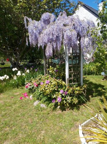 a wreath of purple flowers hanging from a pergola at Chambres d'hôtes Les Quatre Vents in Ruca