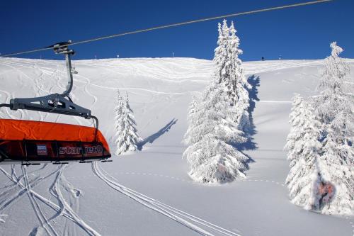Sonnberg Ferienanlage en invierno