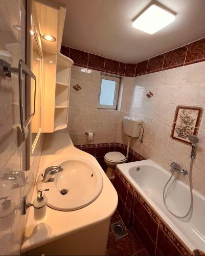 a bathroom with a sink and a tub and a toilet at Dekster apartmani in Valjevo