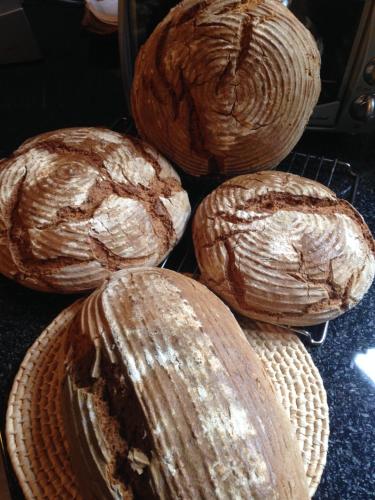 four loaves of bread sitting on a cooling rack at Ferienwohnung Dietlinde in Bad Blankenburg