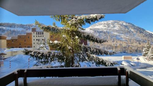 Photo de la galerie de l'établissement Adrets-224, à Isola