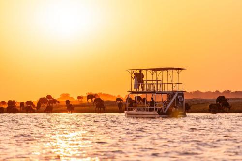 a boat in the water with a herd of animals at Chobe Water Villas in Kasika