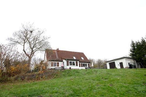 a white house on top of a grassy hill at Haus am See - zur roten Tür in Templin