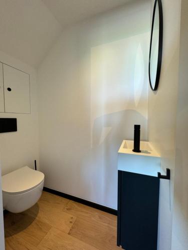a bathroom with a toilet and a sink at Durbuy insolite - Romantic Escape in Durbuy
