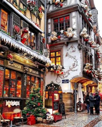 a christmas tree on the side of a building at Gites Spa Strasbourg - Appartement in Furdenheim