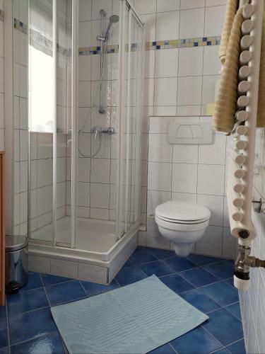 a bathroom with a shower and a toilet at Appartement Elisabeth in Schoppernau