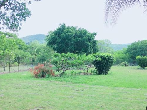 a field with trees and bushes in a field at The Sanctuary- Self Catering Accommodation in Nelspruit