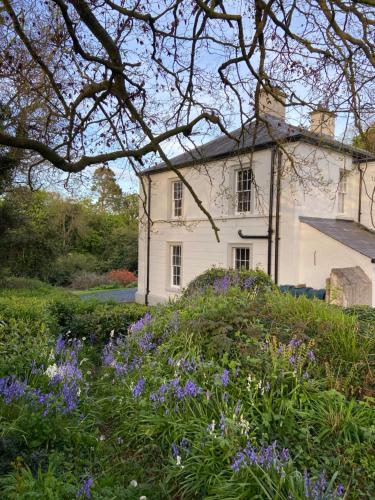 a white house with purple flowers in front of it at Ashville Georgian House in Killinchy